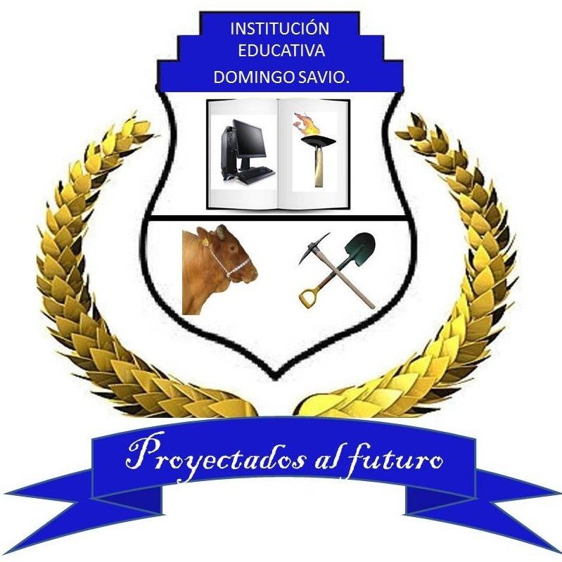 I.E Domingo Savio
